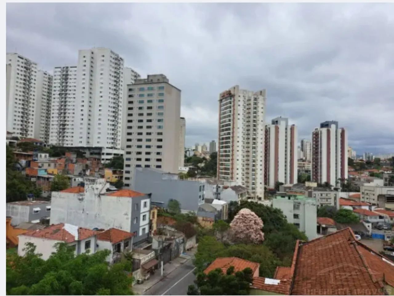 Apartamento, Santana - São Paulo - Foto 4