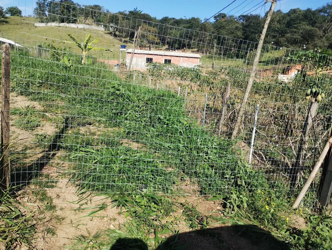 Terreno 