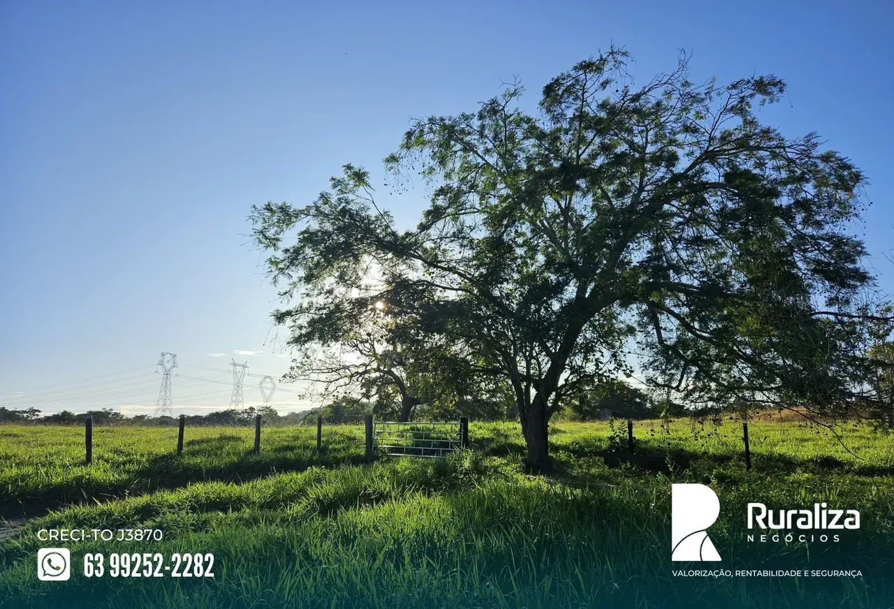FAZENDA COMPLETA | ARGILA ACIMA DE 25% | PRONTA PARA PRODUZIR - Foto 2