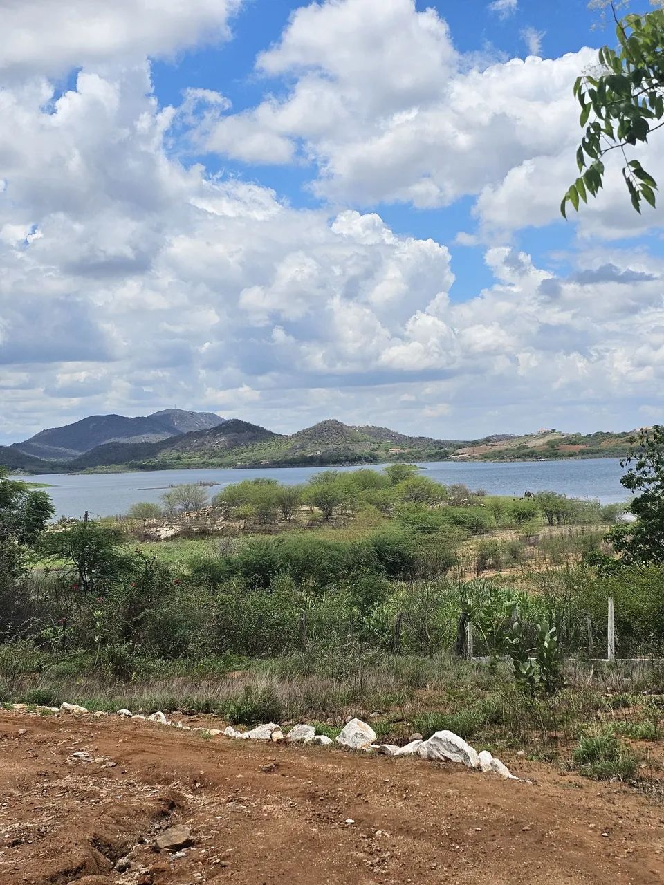 Vendo Sítio em Boqueirão  - Foto 4