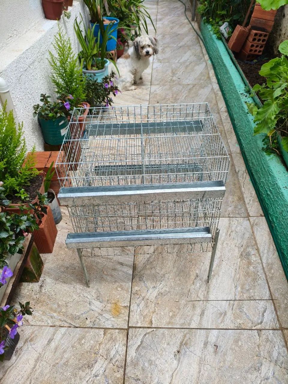 Vendo está gaiola. - Foto 3