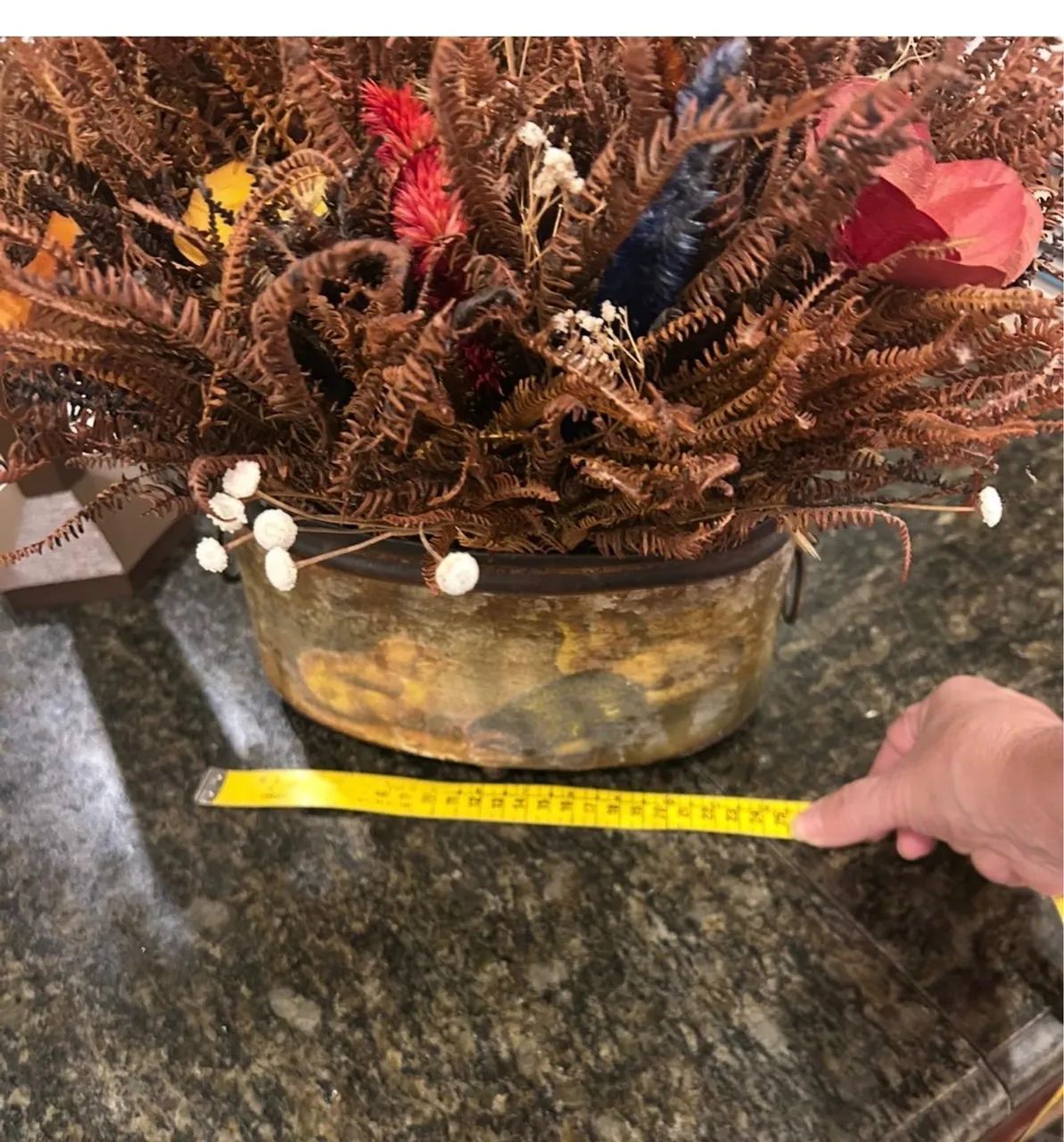 Arranjo - Foto 3