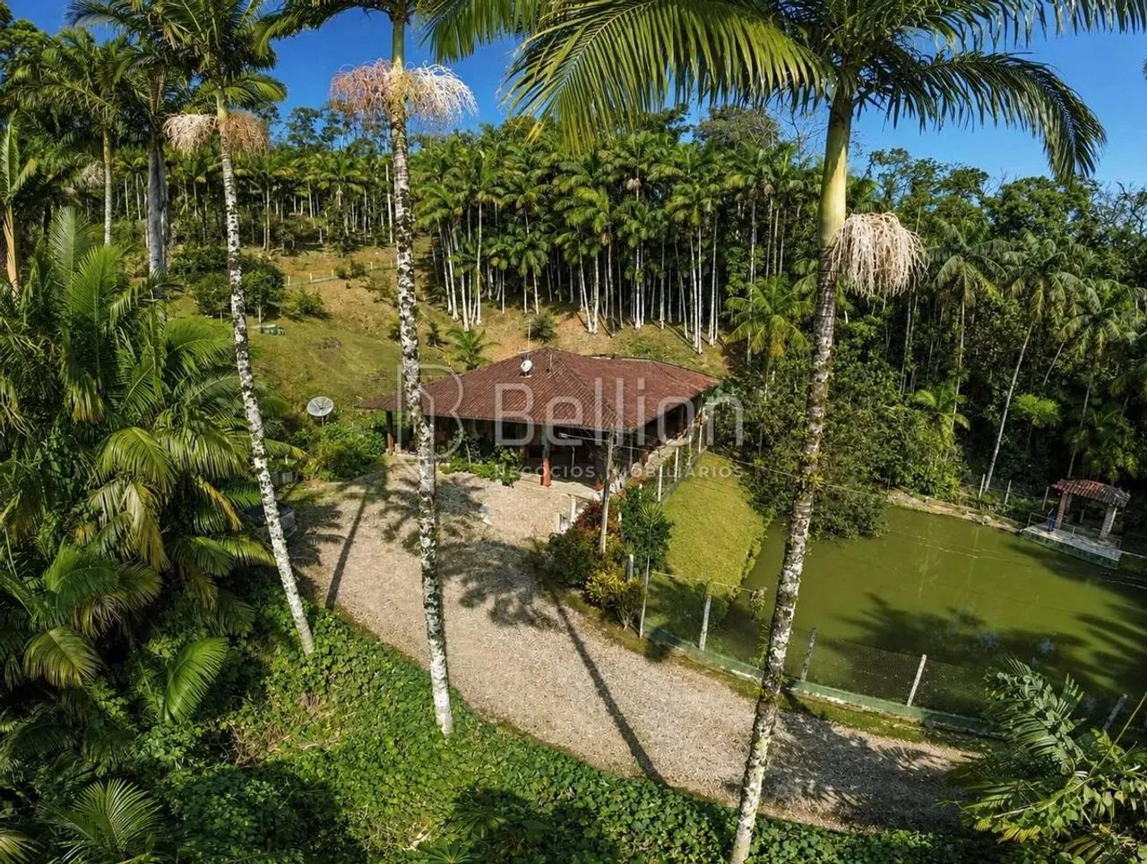 Sítio à Venda em Timbó com 30.000 m², Lagoas e Nascente - Foto 3