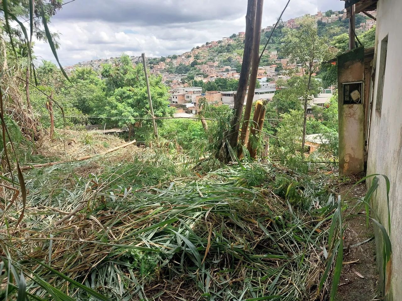 Lote a venda na balança  - Foto 5