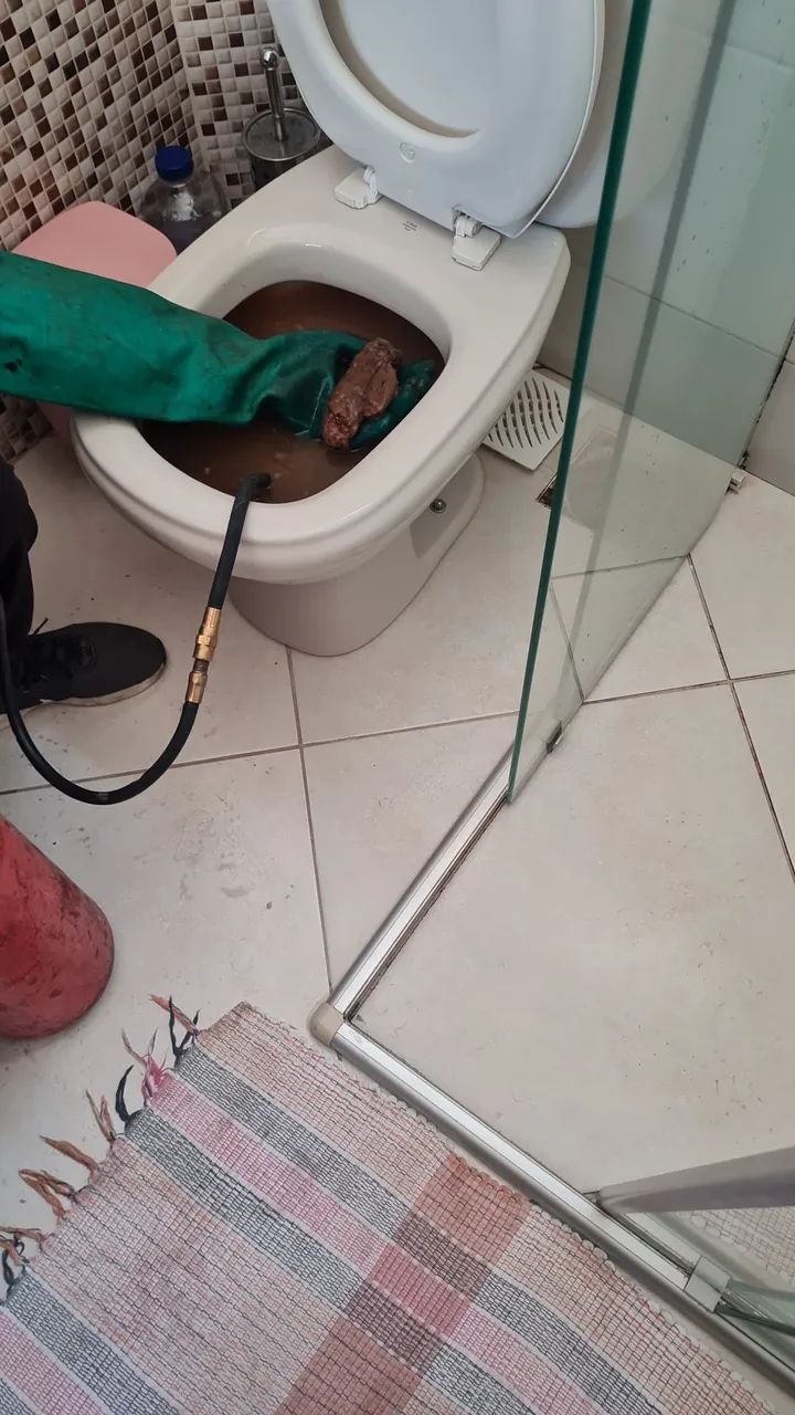 Desentupidora em lagoa santa 