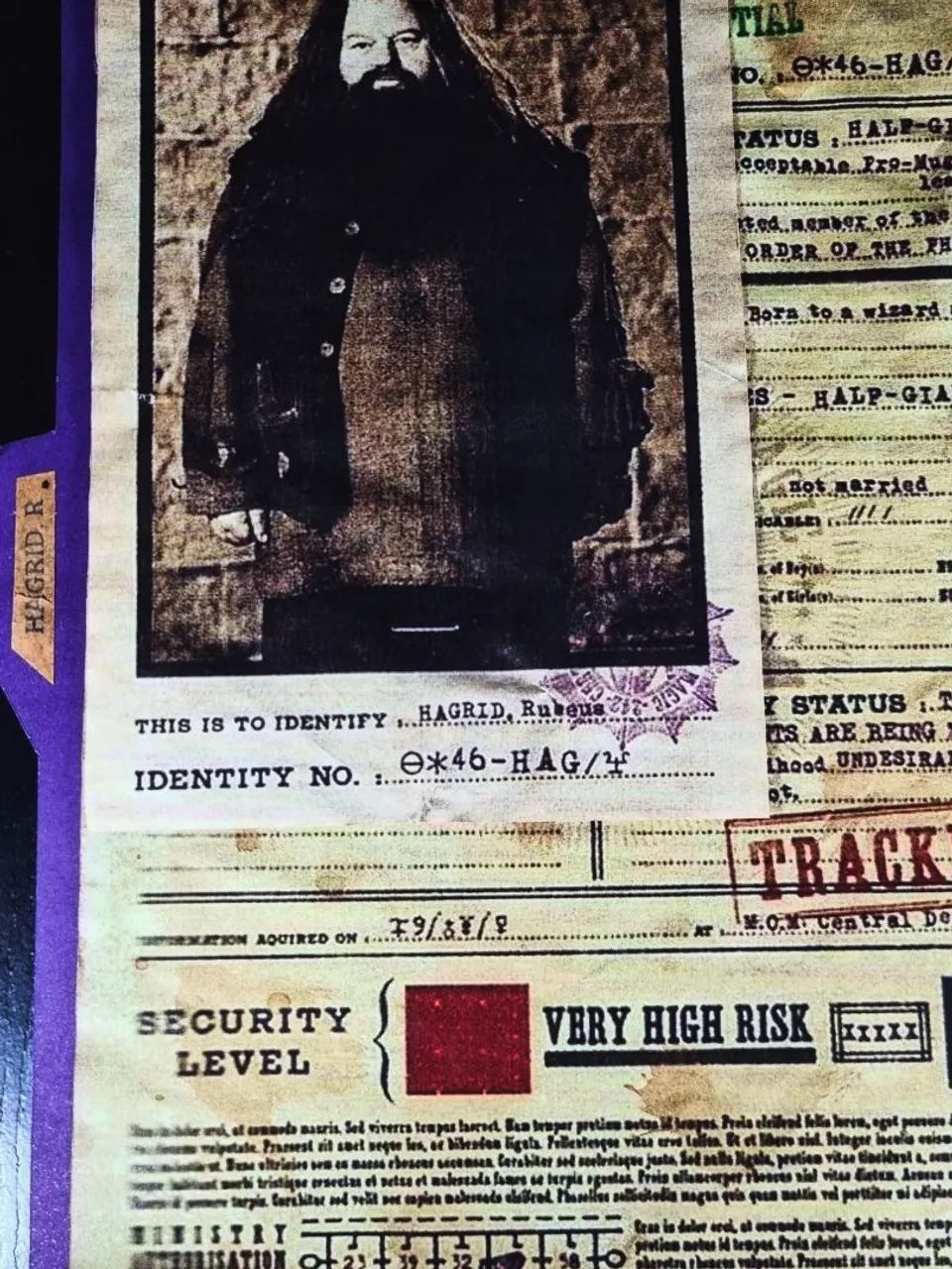 Registro de muggle-born  - Foto 4