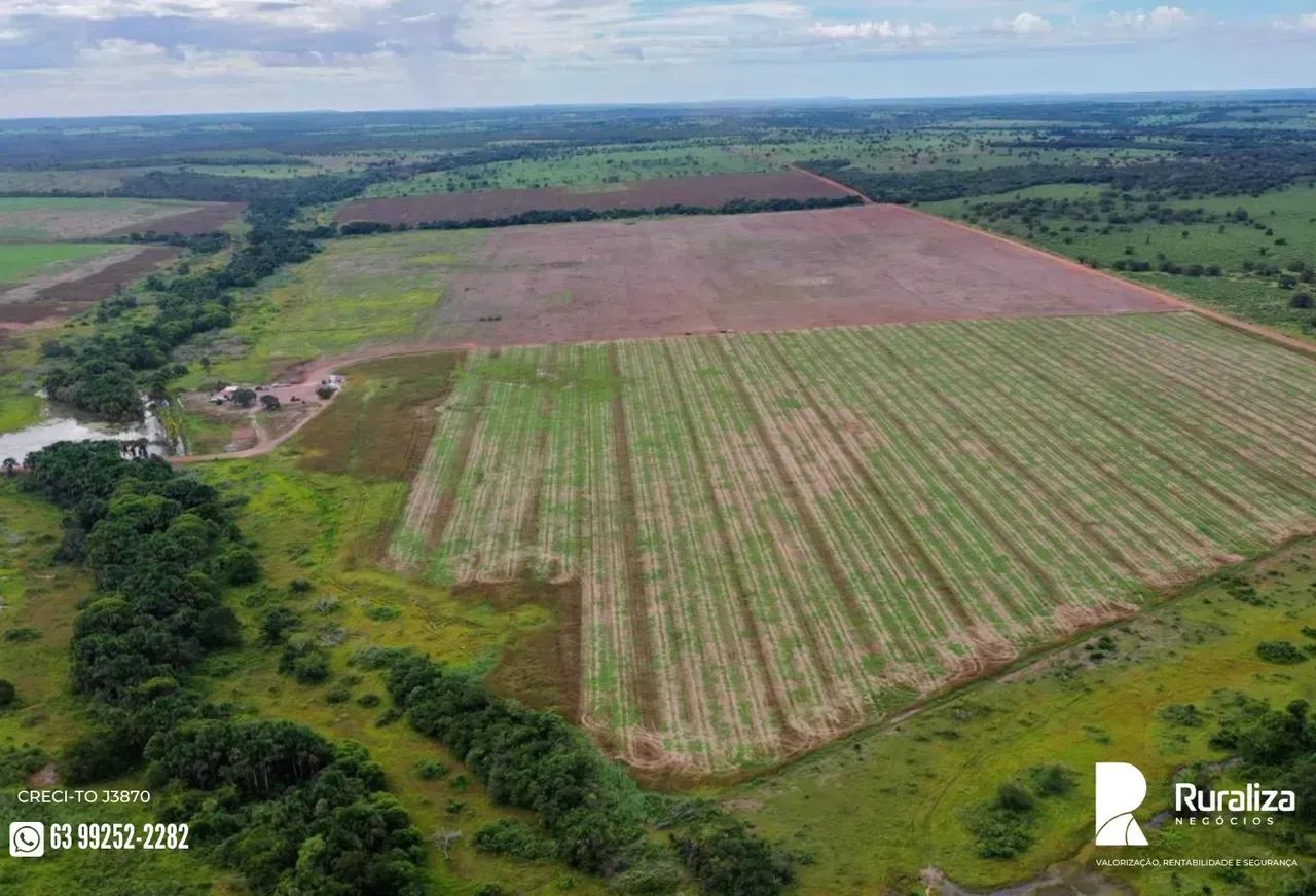 OPORTUNIDADE | 400 HA CONSOLIDADOS | ENTRADA + PRAZO - Foto 2