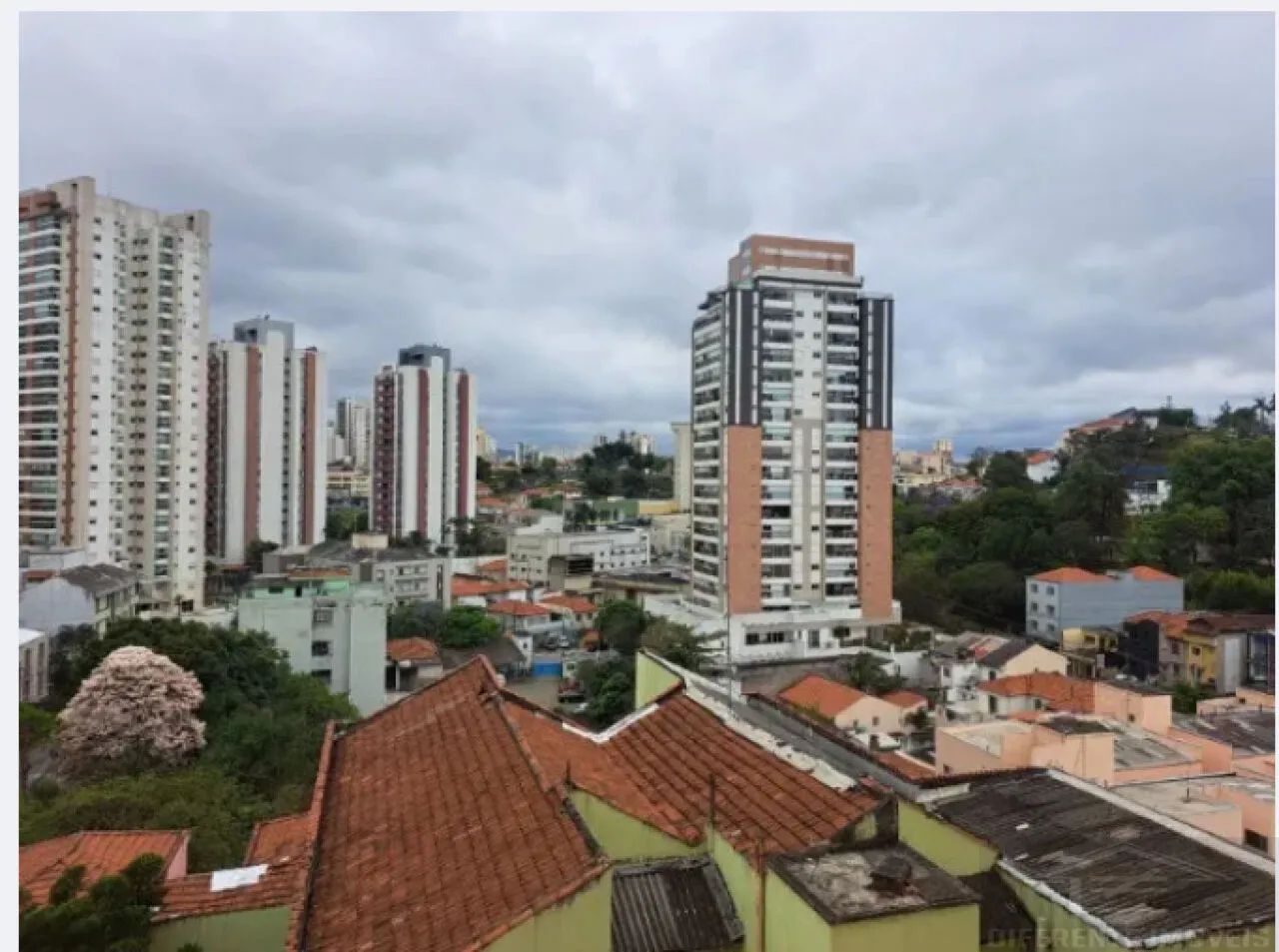 Apartamento, Santana - São Paulo - Foto 2