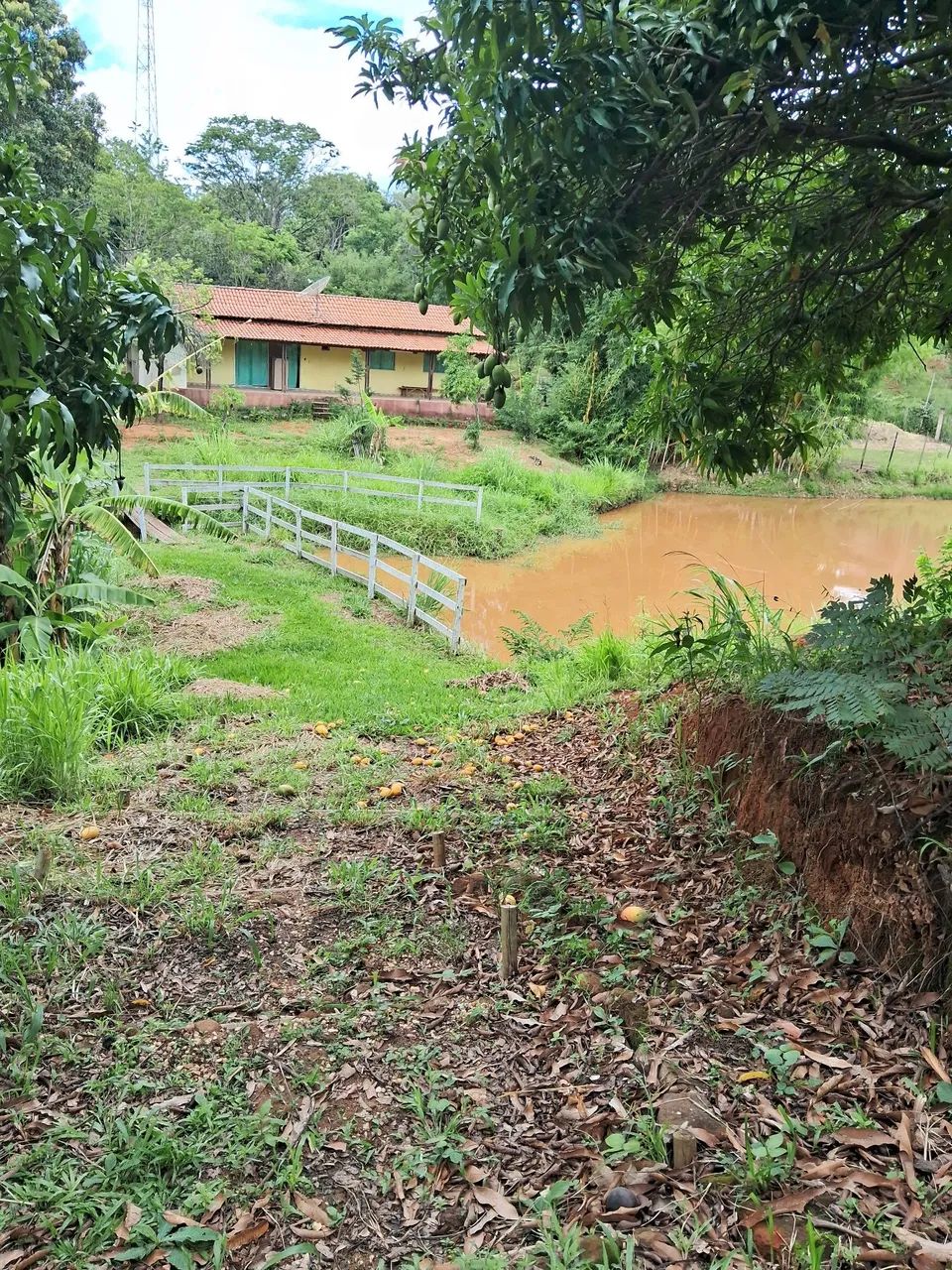 Sitio taquaraçu de minas 