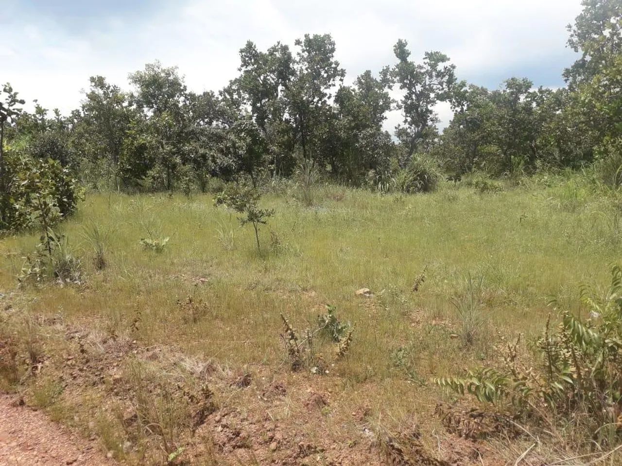 Fazenda para Venda em Barrolândia - Foto 3