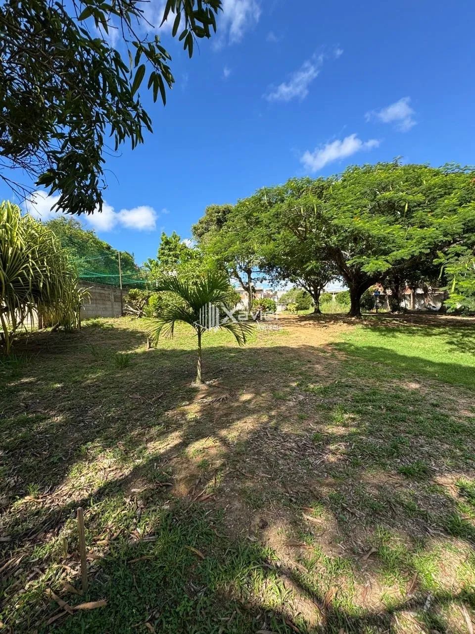 Chácara Escriturada com 6.500 m², Nascente, 2 Lagoas e Árvores Frutíferas à Venda no Jabar - Foto 3