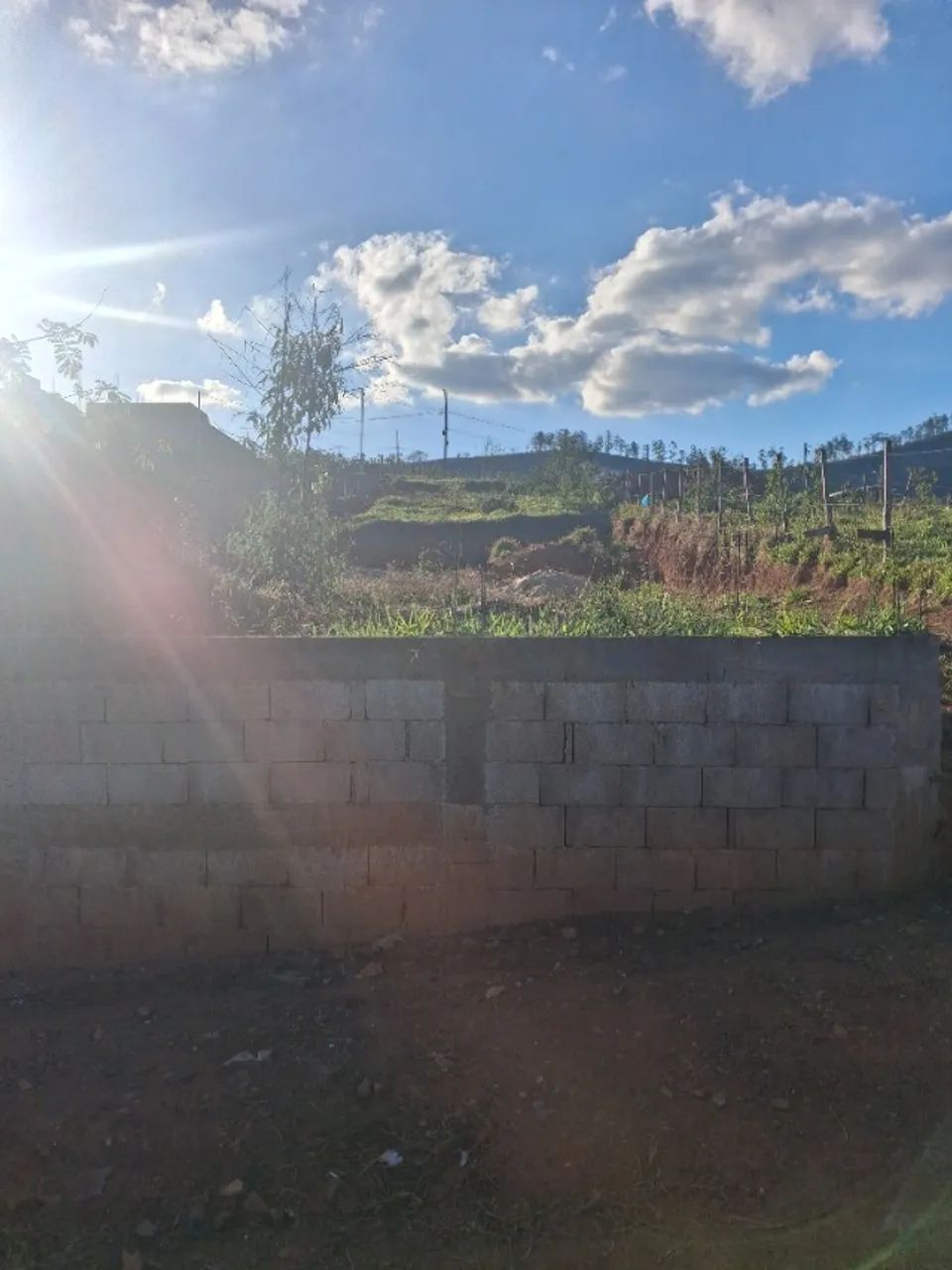 lote