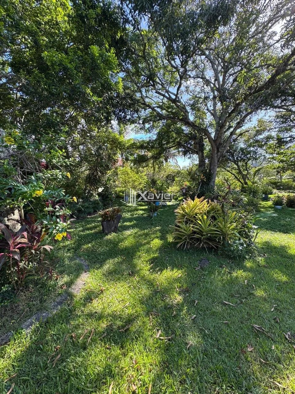 Chácara Escriturada com 6.500 m², Nascente, 2 Lagoas e Árvores Frutíferas à Venda no Jabar - Foto 12