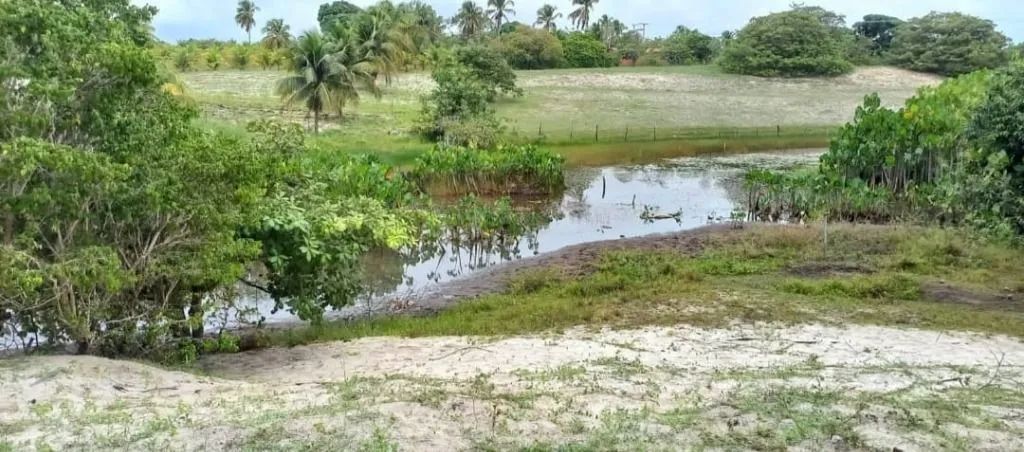 Terreno Lagoinha