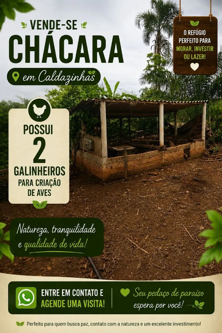 VENDE-SE CHÁCARA EM CALDAZINHA - GO - Foto 4
