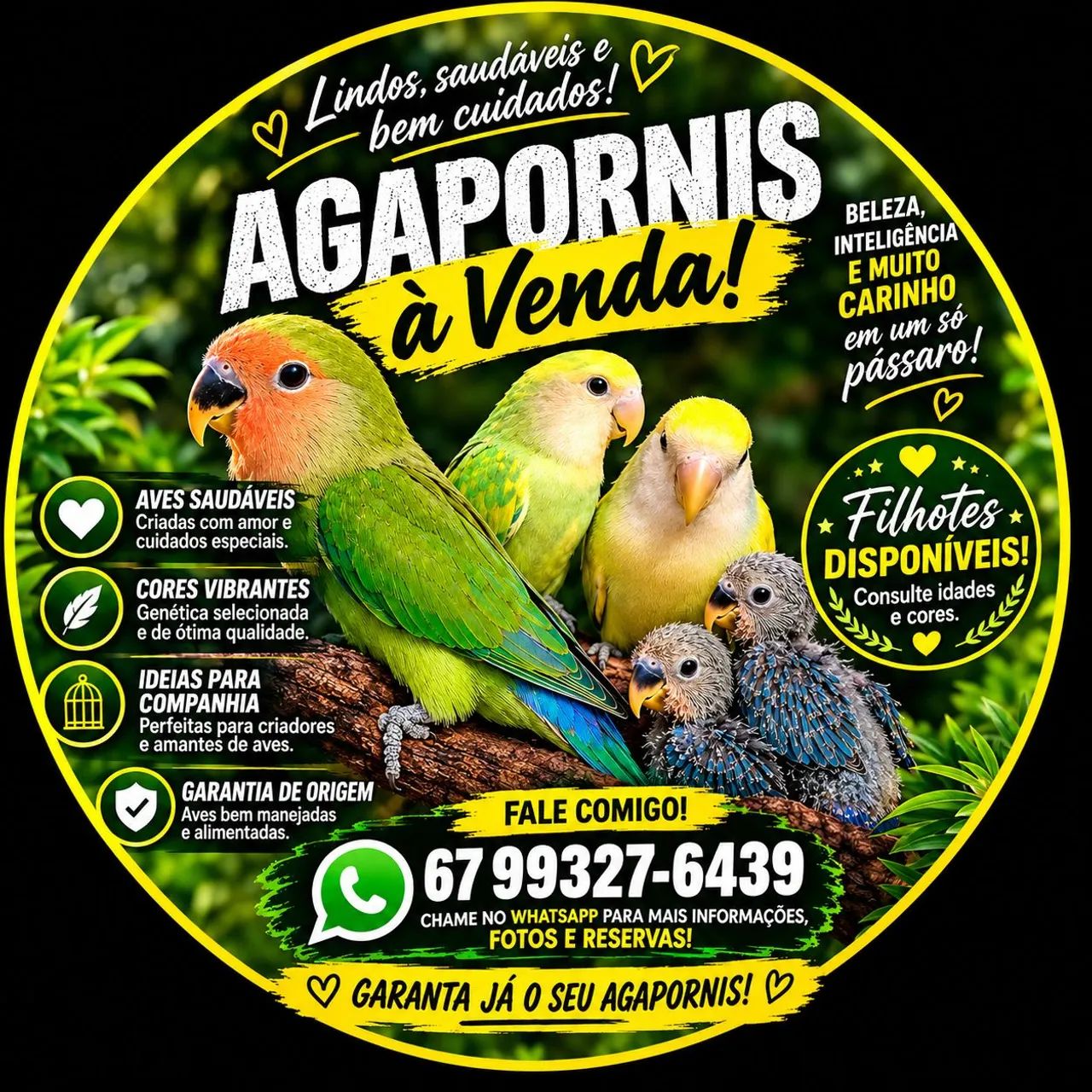 350 cada - Foto 2