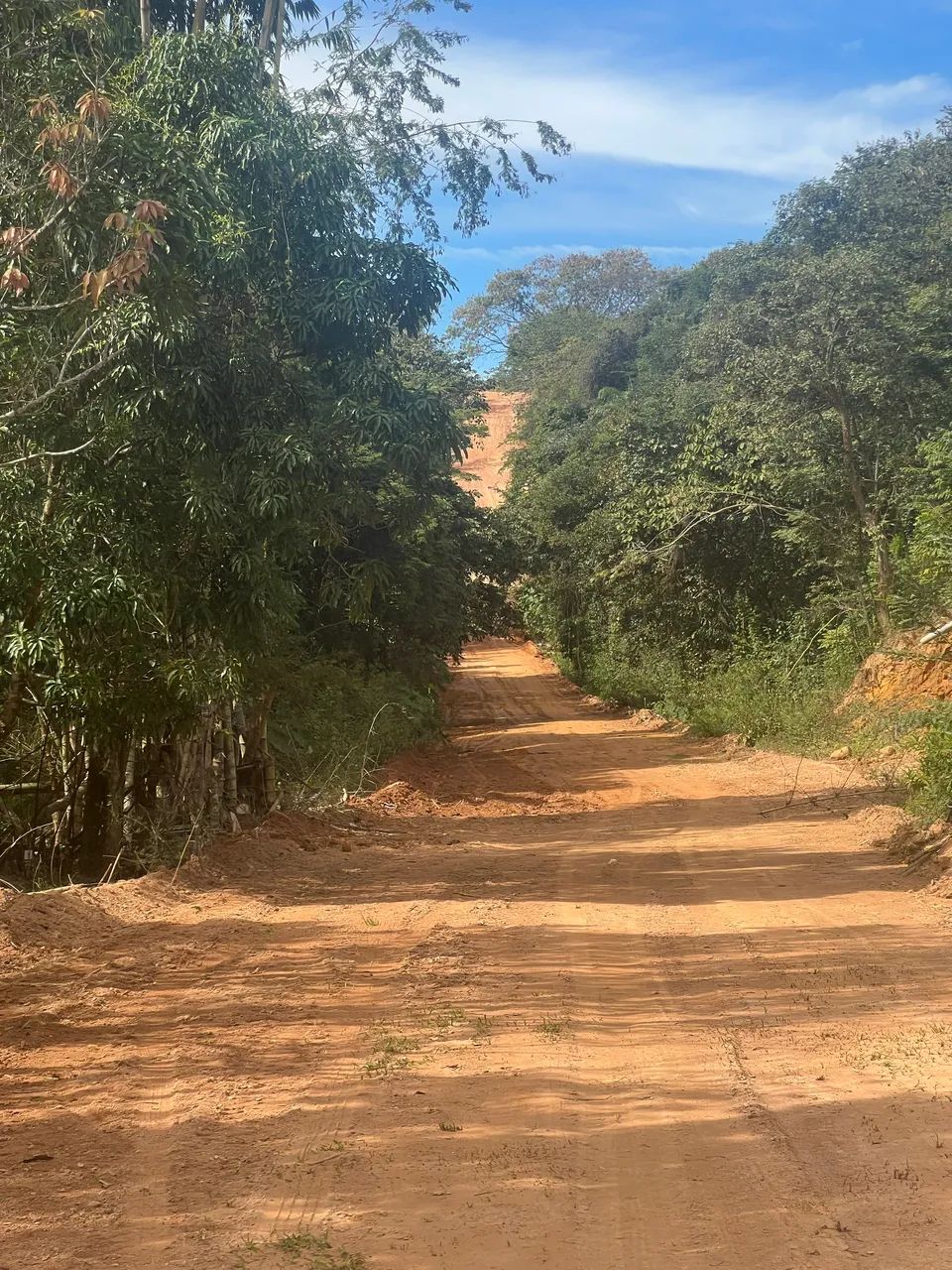 Foto - São Joaquim de Bicas - 