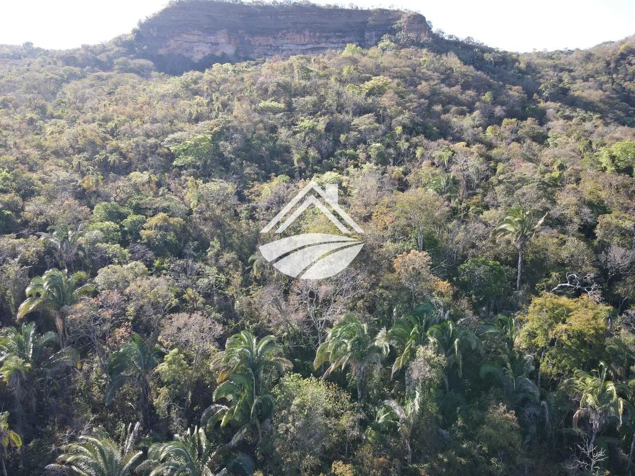 Chácara para Venda em Palmas, Área Rural de Palmas - Foto 2