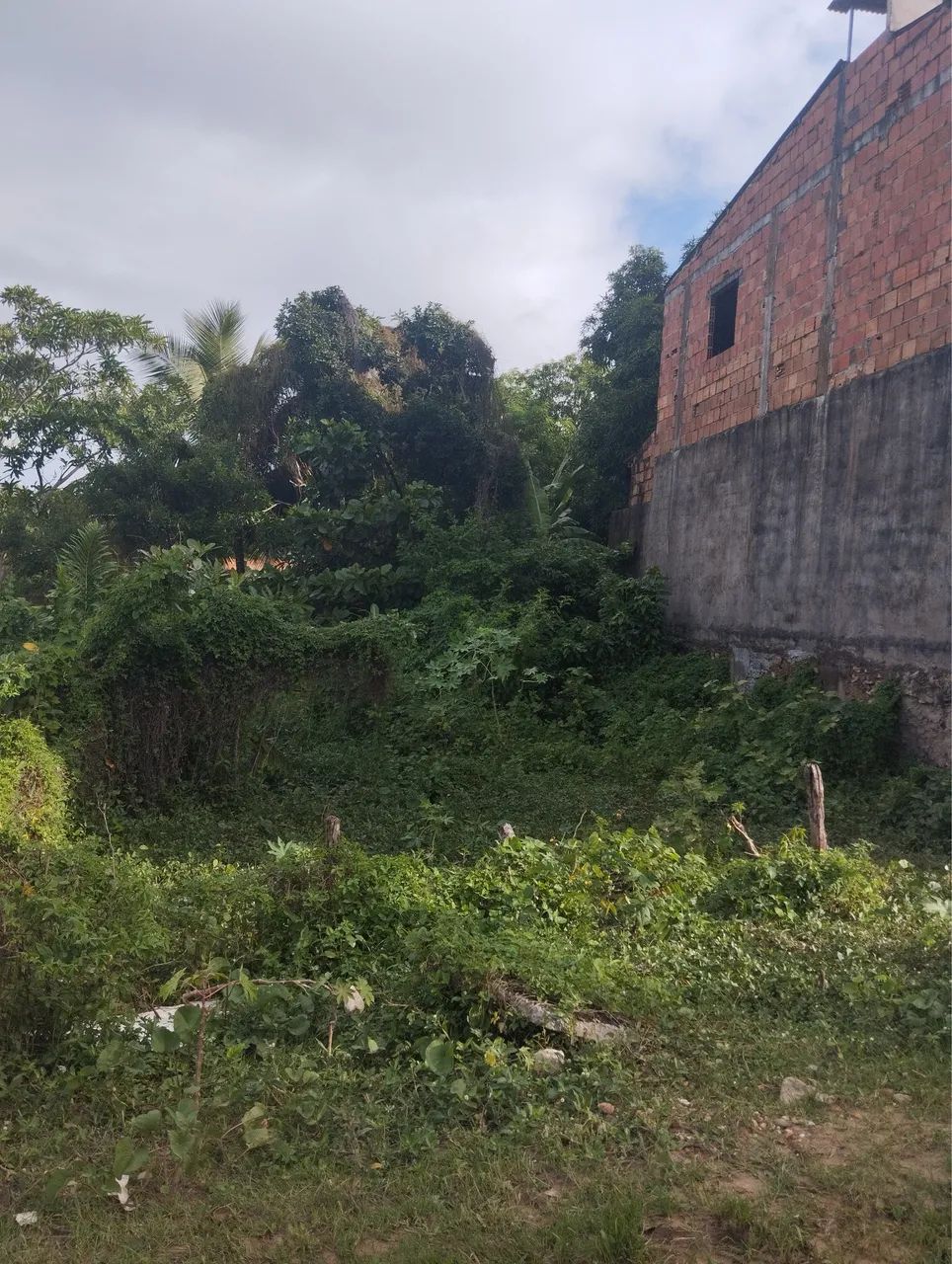 VENDO TERRENO - ÓTIMA OPORTUNIDADE - Foto 3