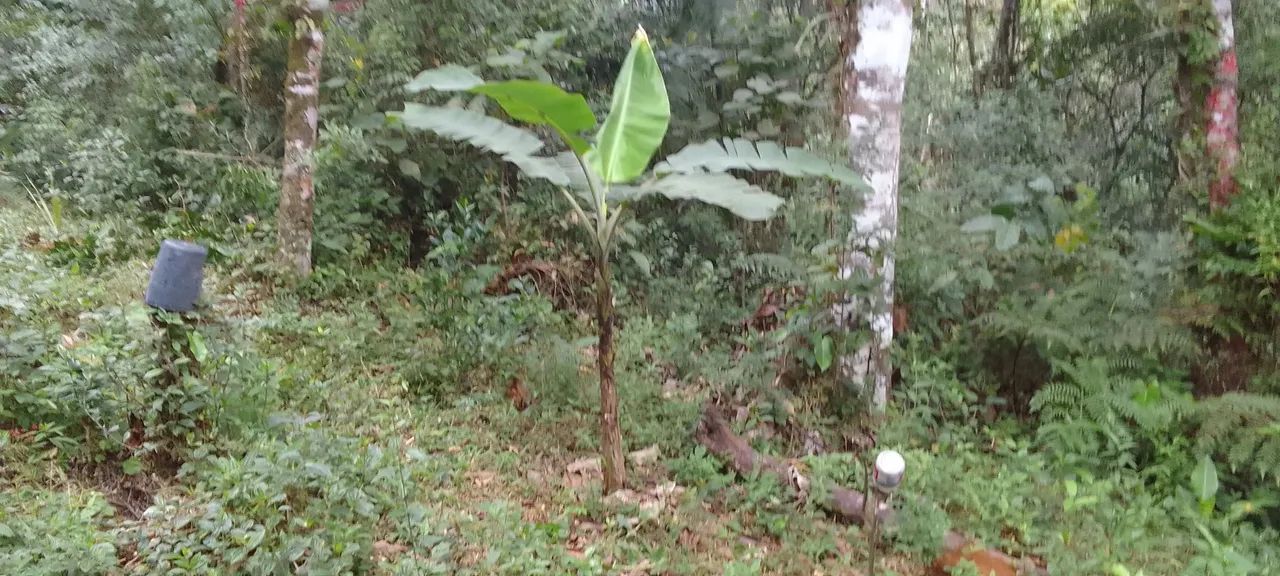 Lindo terreno com ótimo preço a venda em Juquitiba sao Paulo. - Foto 2