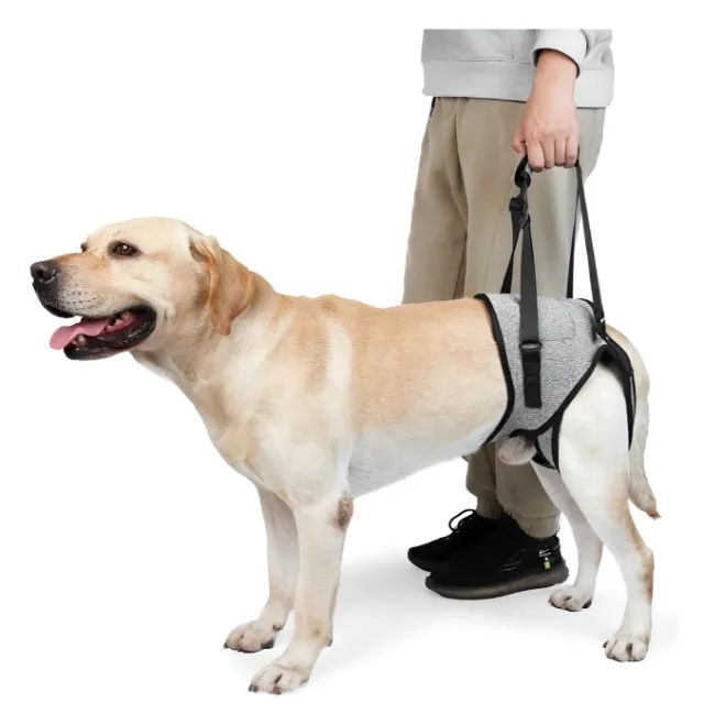 Suporte Auxiliar Com Alça Para Cachorro Cães Cão Displasia - Tam. XG