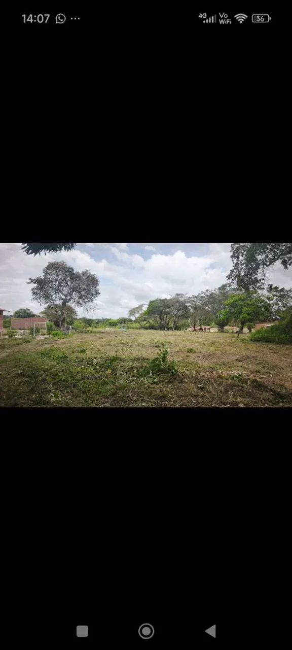 Terreno em gualdrapas-trairi -ce - Foto 2