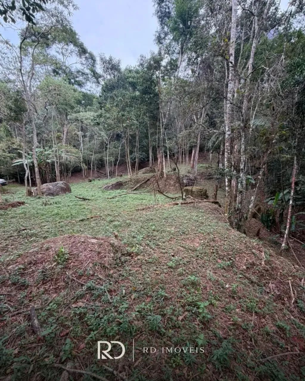 TERRENO EM ARARAS - PETRÓPOLIS - Foto 4