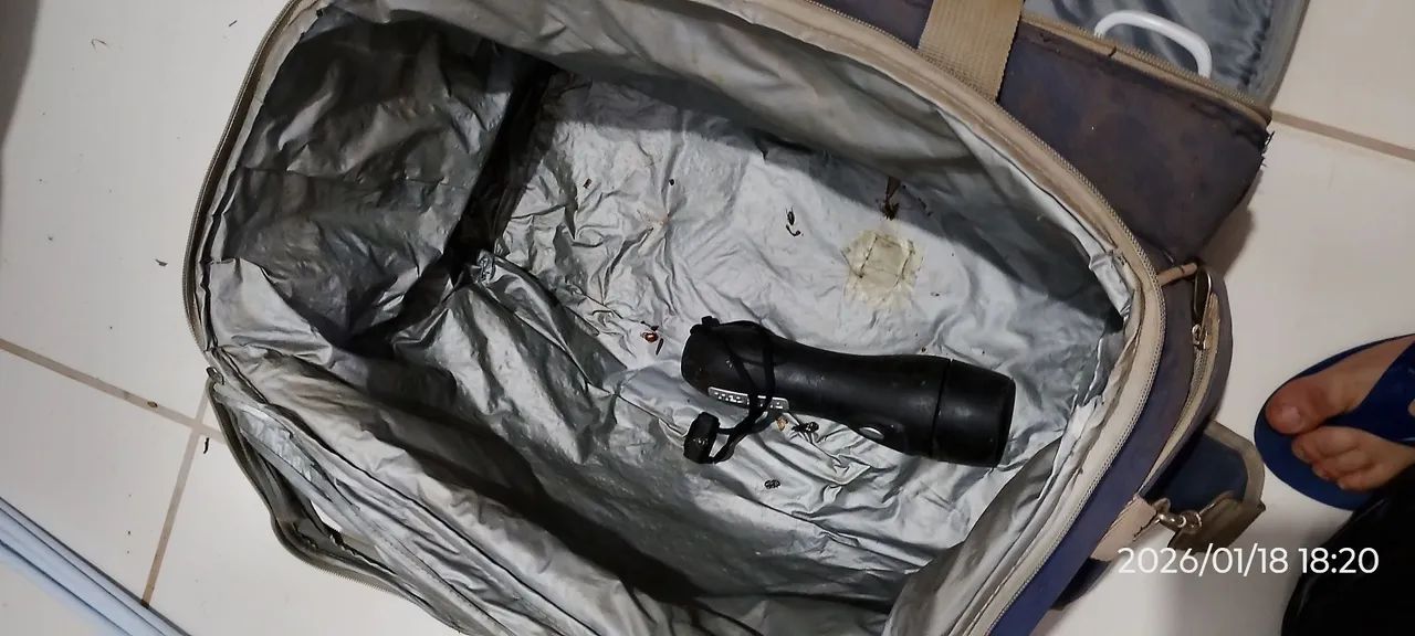 Bolsa térmica mor - Foto 2