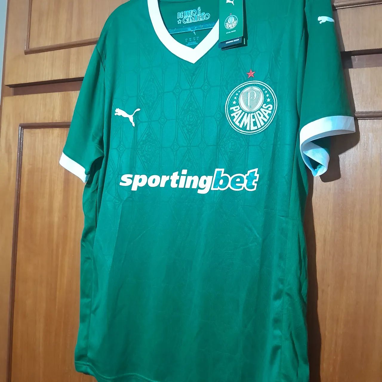 Camisa Palmeiras 2025 G