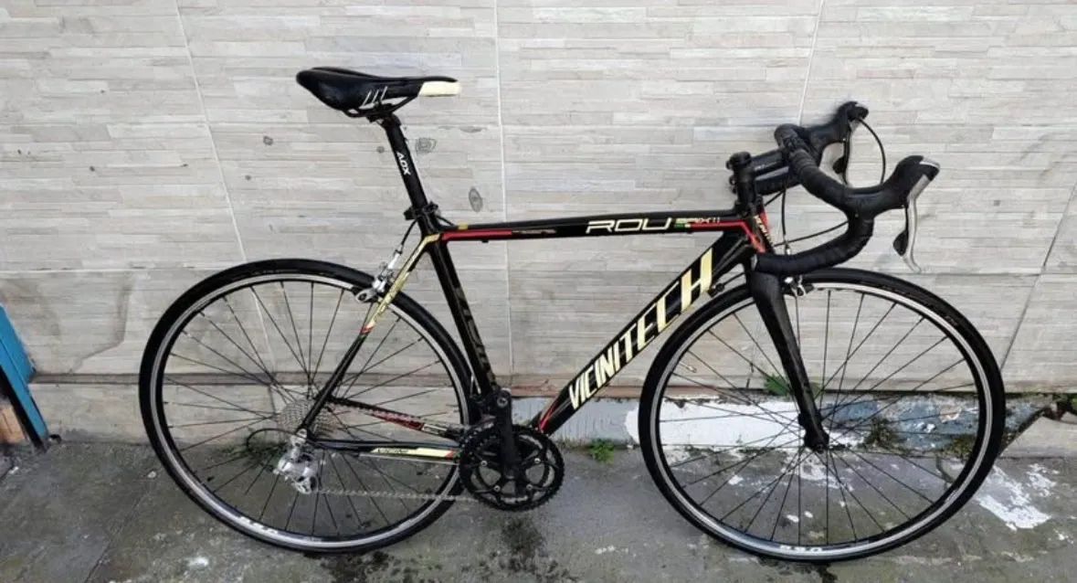 Bicicleta Speed Vicini
