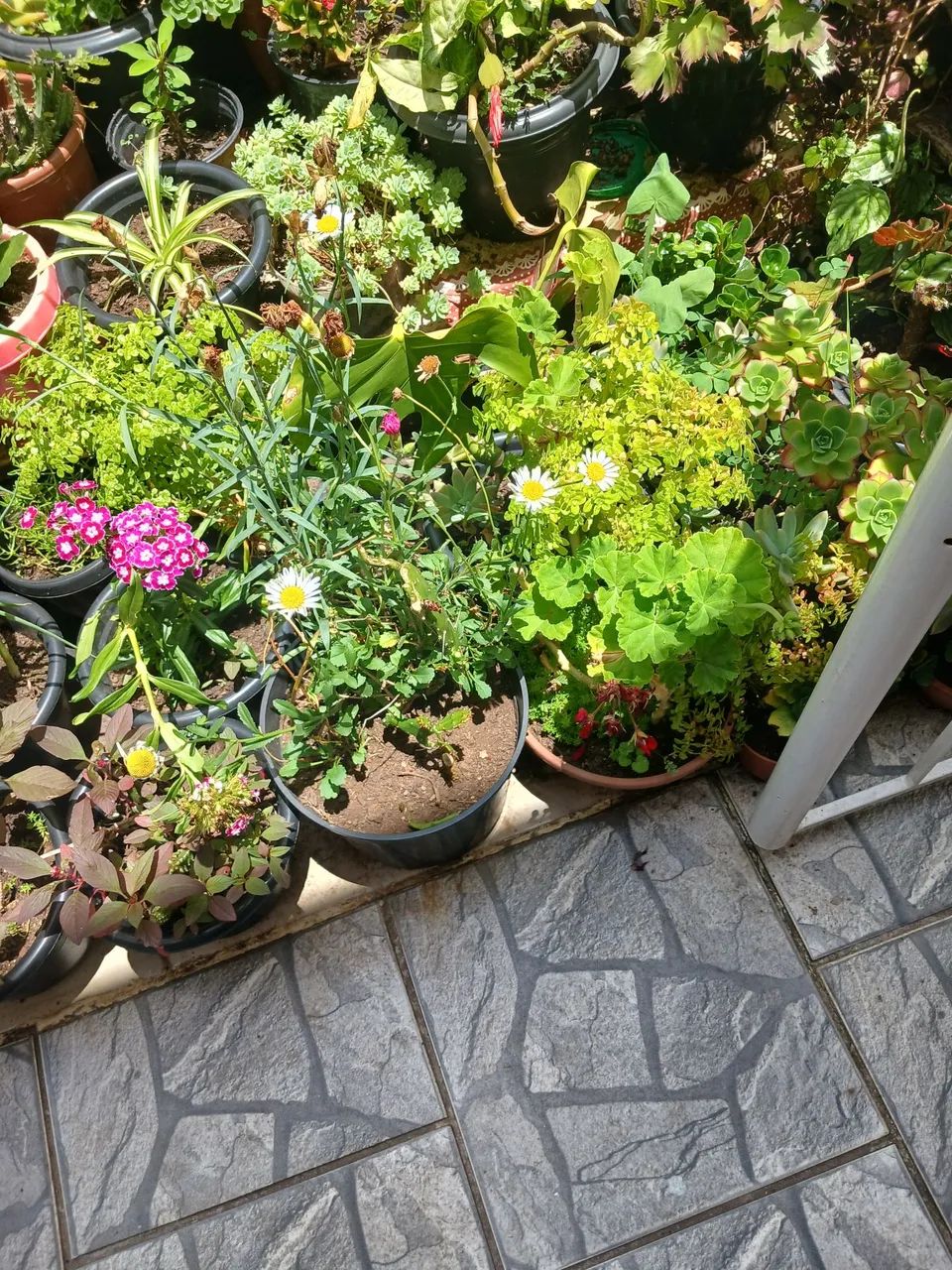 Trabalho domiciliar  - Foto 3