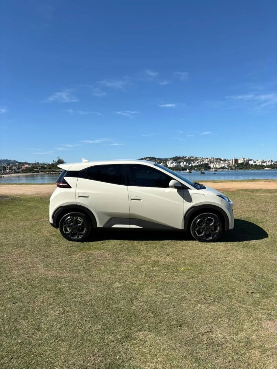 BYD Dolphin Mini (Elétrico) 2026 - Foto 3