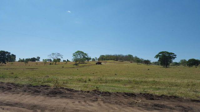 Fazenda com 20 alqueires no município de Inhumas. Excelente - Foto 6