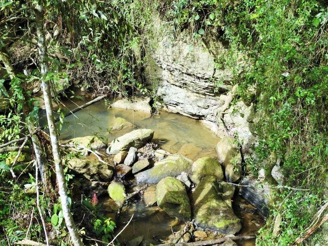 Alfredo Wagner , Serra Catarinense 8,0 hectares - Foto 4