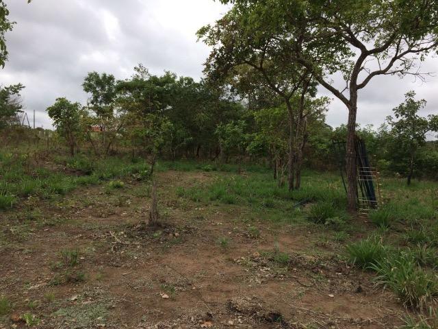 Terreno / Lote / Área / Chácara 45.000 m² Chapada dos Guimarães MT - Foto 7