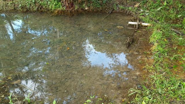 25 hectares documentado por 160 mil reais zap * - Foto 2