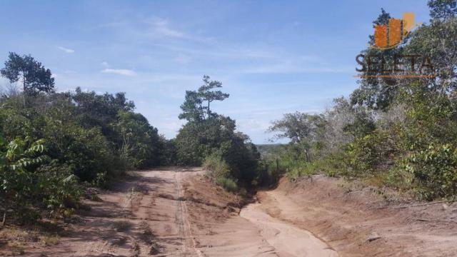Fazenda rural à venda, zona rural, barra do bugres. - Foto 5