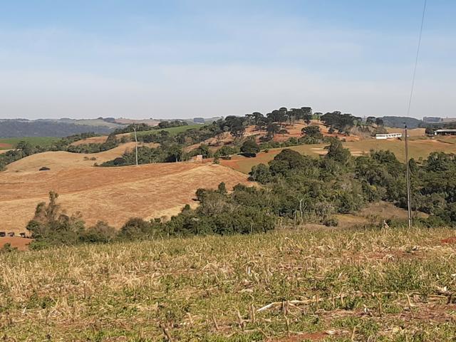 Fazenda de 990 Alqueires ( Escritura Pública) 1 matrícula e com GEO.89 km de Guarapuava PR - Foto 2
