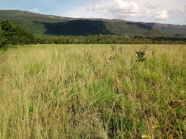 Fazenda com 784 hectares em Rosário Oeste MT - Foto 8