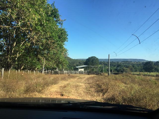Vendo propriedade 703 hectares - Foto 13
