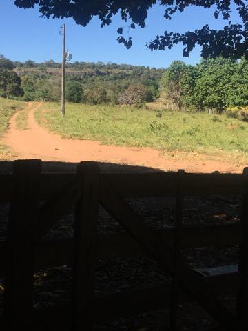 Vendo propriedade 703 hectares - Foto 10