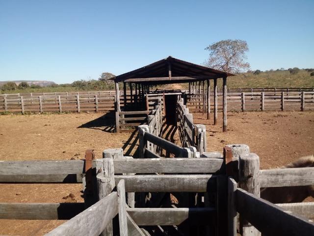 Fazenda com 1.940 hectares na estrada do manso ha 45 km de Cuiabá - Foto 5