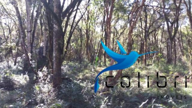 Terreno para formar chácara de lazer em agudos do sul - pr - Foto 6
