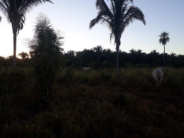 Chácara de terra boa a 9 km de Acorizal - Foto 8