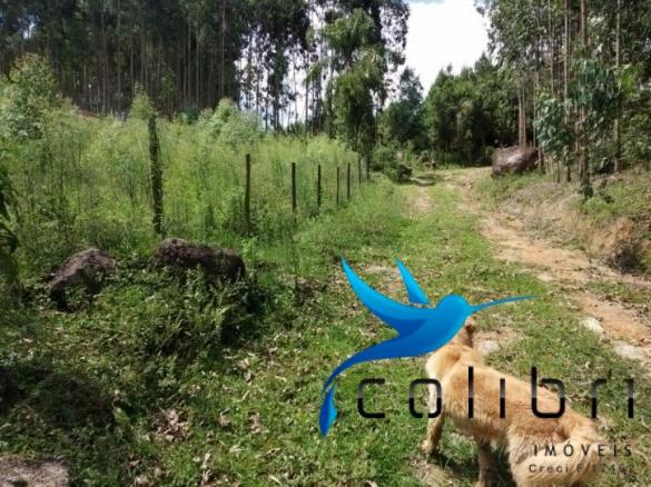Chácara pronta para criação de gado em mandirituba - Foto 17