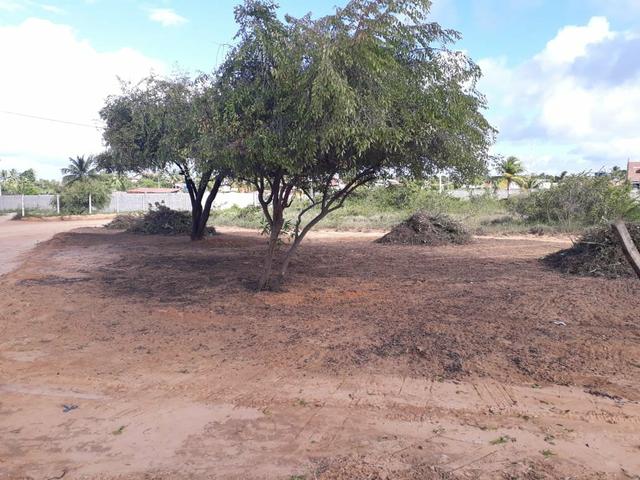 Lotes financiados na Praia de Carapibus, Jacumã Conde Pb