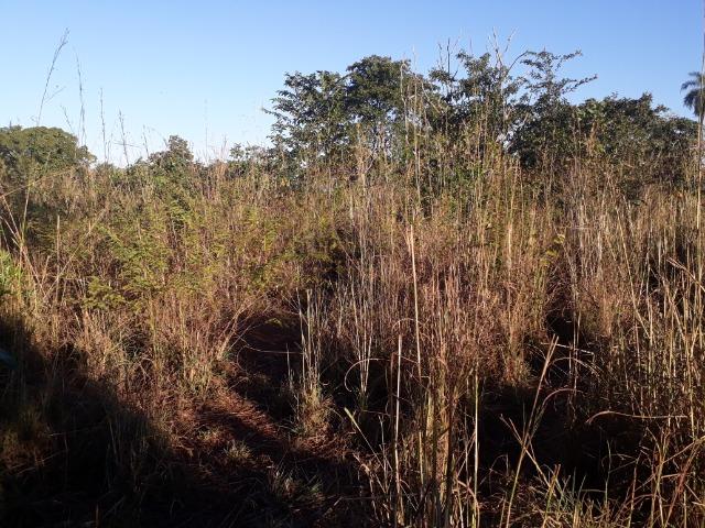 Chácara de terra boa a 9 km de Acorizal - Foto 20