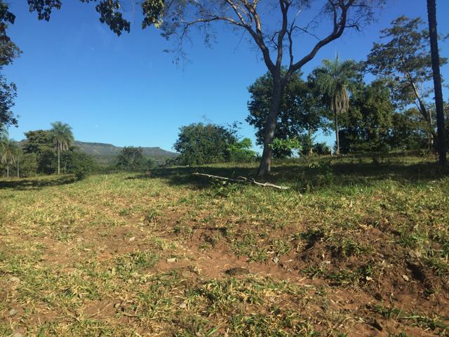 Vendo propriedade 703 hectares - Foto 8