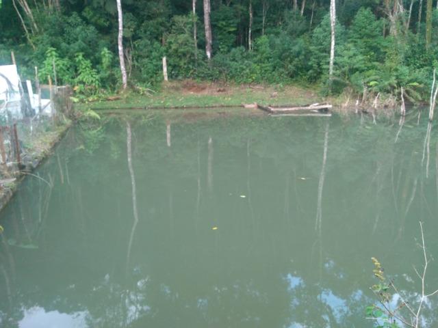 Chácara simples,mas aconchegante,lago na propriedade - Foto 2