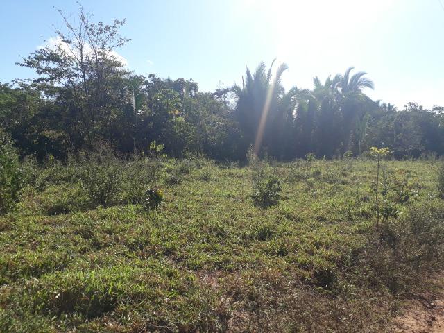 Fazenda com 784 hectares em Rosário Oeste MT - Foto 17